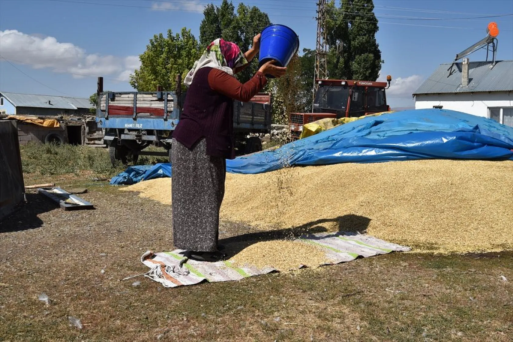 Karslı kadınlar rüzgara karşı 'tahıl savurma' mesaisinde