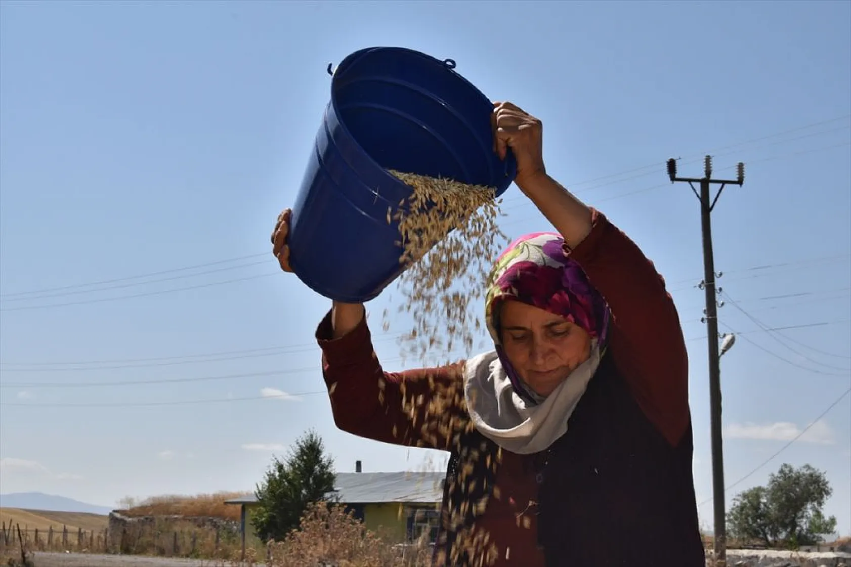 Karslı kadınlar rüzgara karşı 'tahıl savurma' mesaisinde