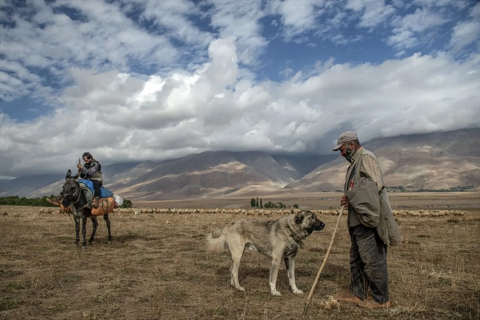 Göçerlerin köylerine zorlu dönüşü başladı
