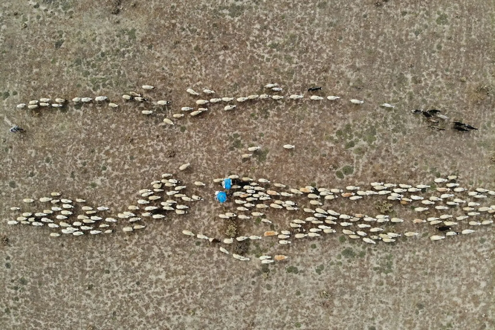 Göçerlerin köylerine zorlu dönüşü başladı
