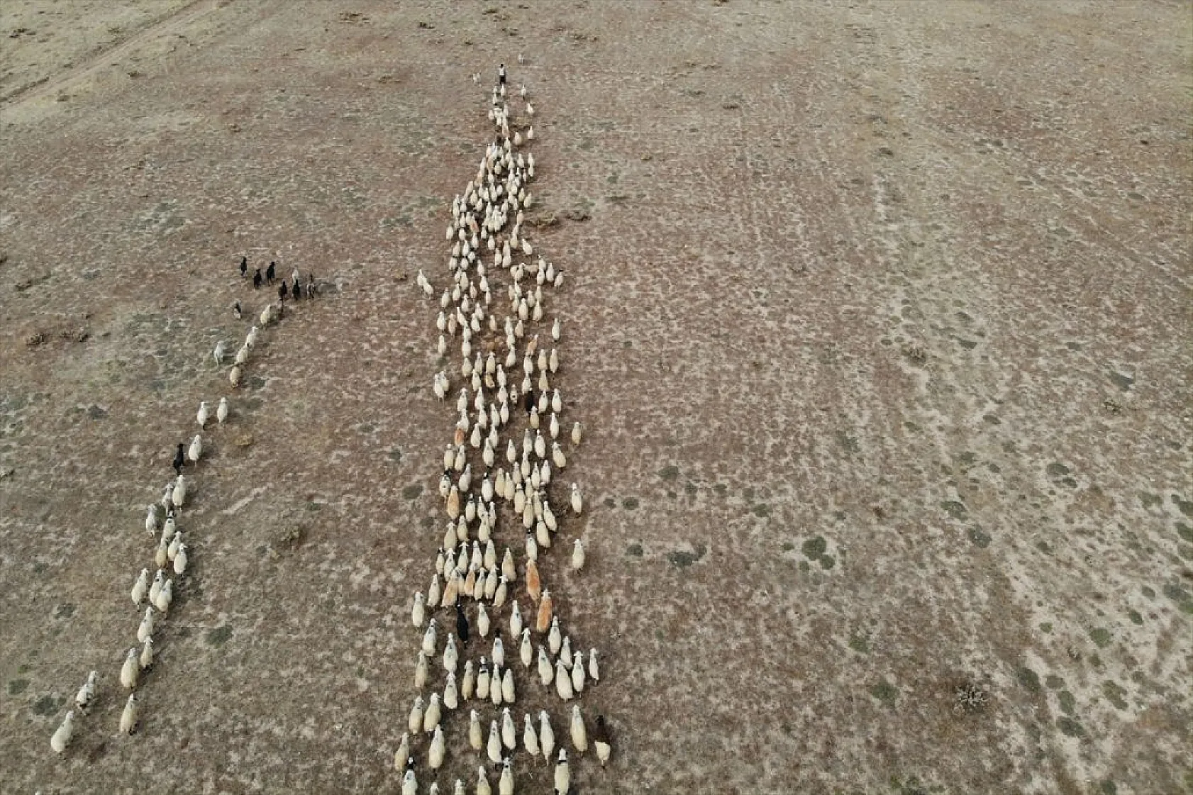Göçerlerin köylerine zorlu dönüşü başladı