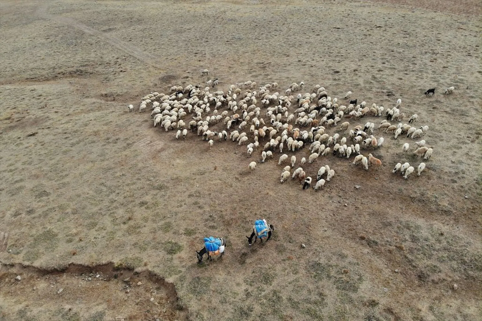 Göçerlerin köylerine zorlu dönüşü başladı