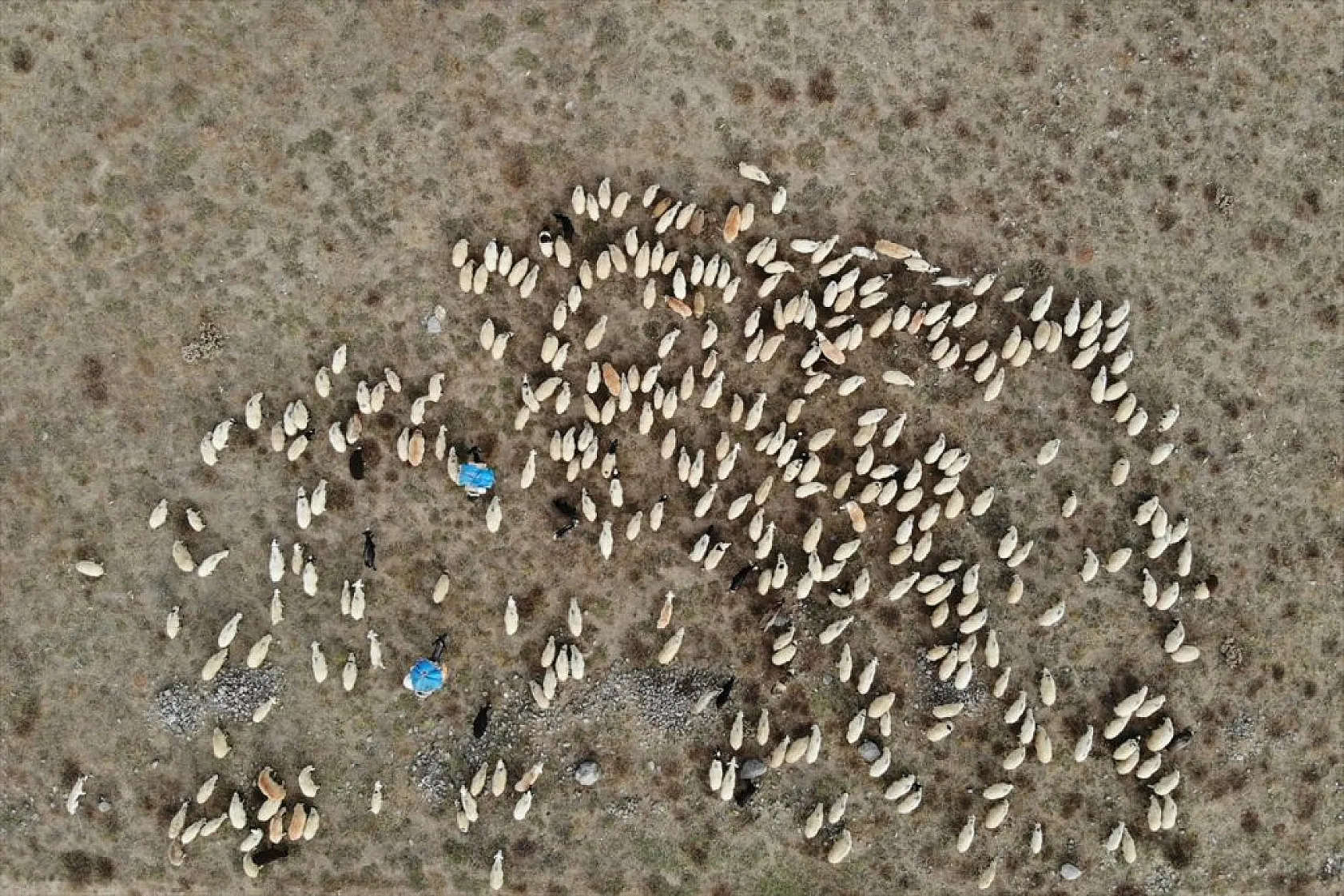 Göçerlerin köylerine zorlu dönüşü başladı