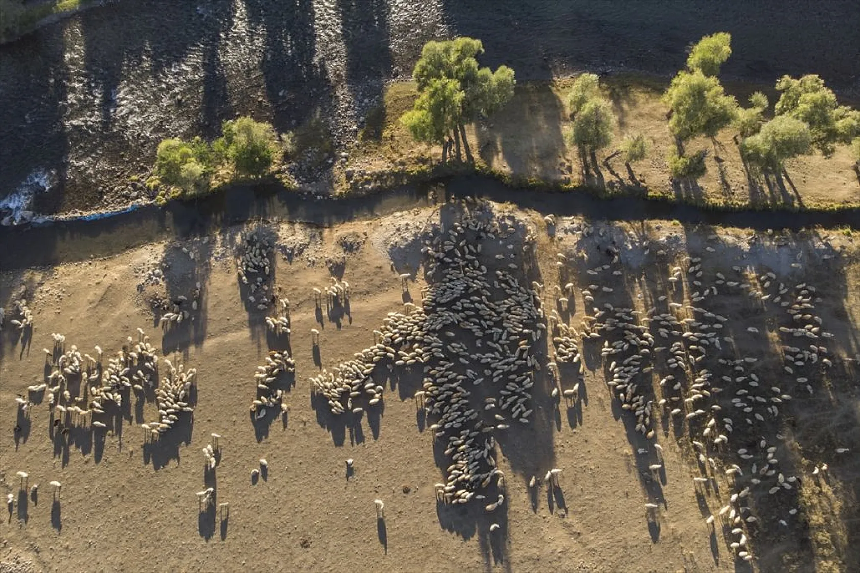 Göçerlerin köylerine zorlu dönüşü başladı