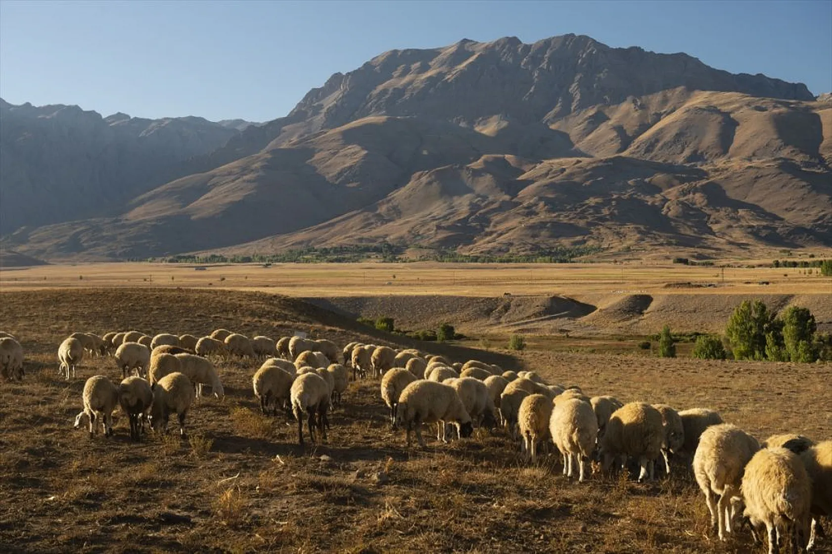 Göçerlerin köylerine zorlu dönüşü başladı