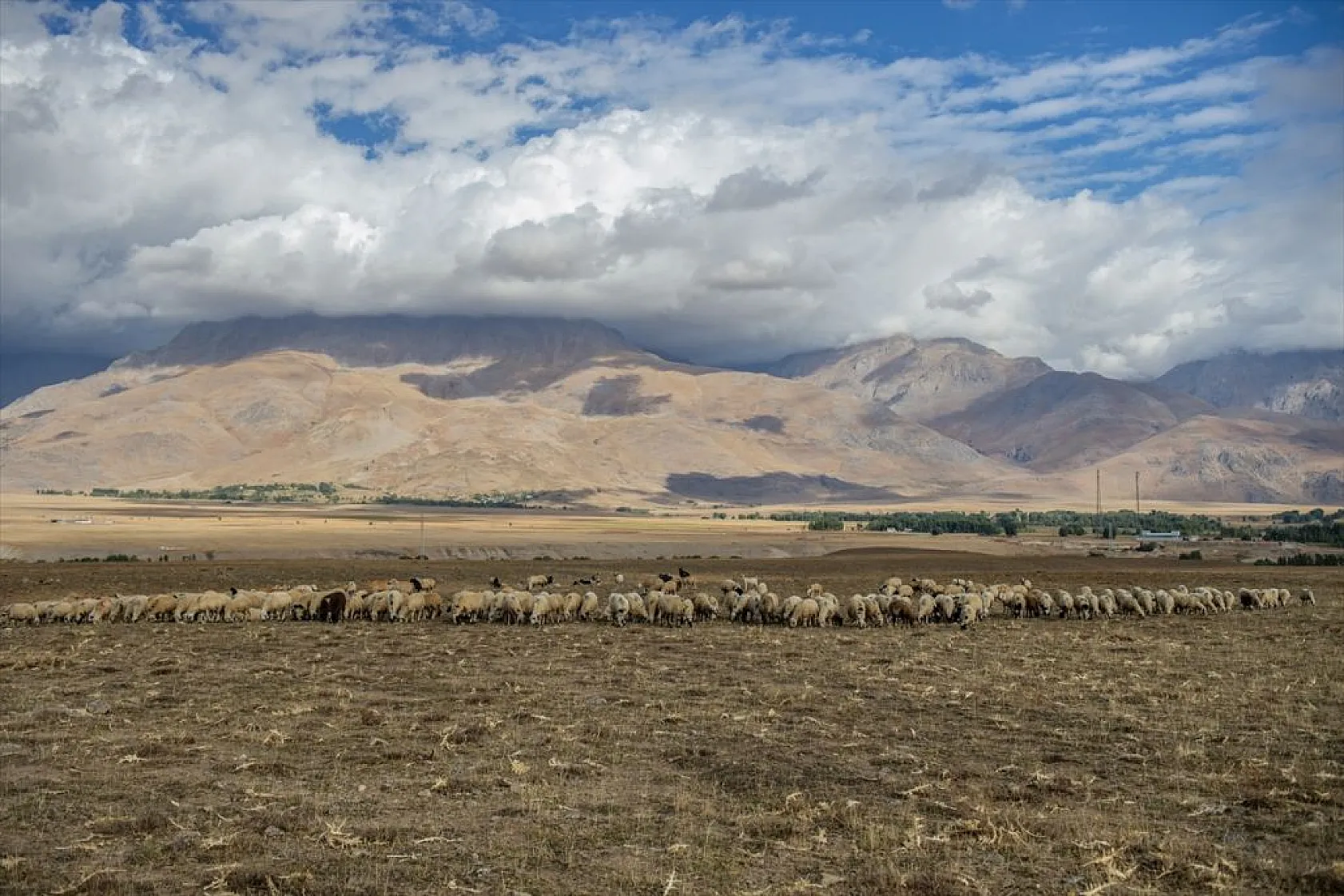 Göçerlerin köylerine zorlu dönüşü başladı