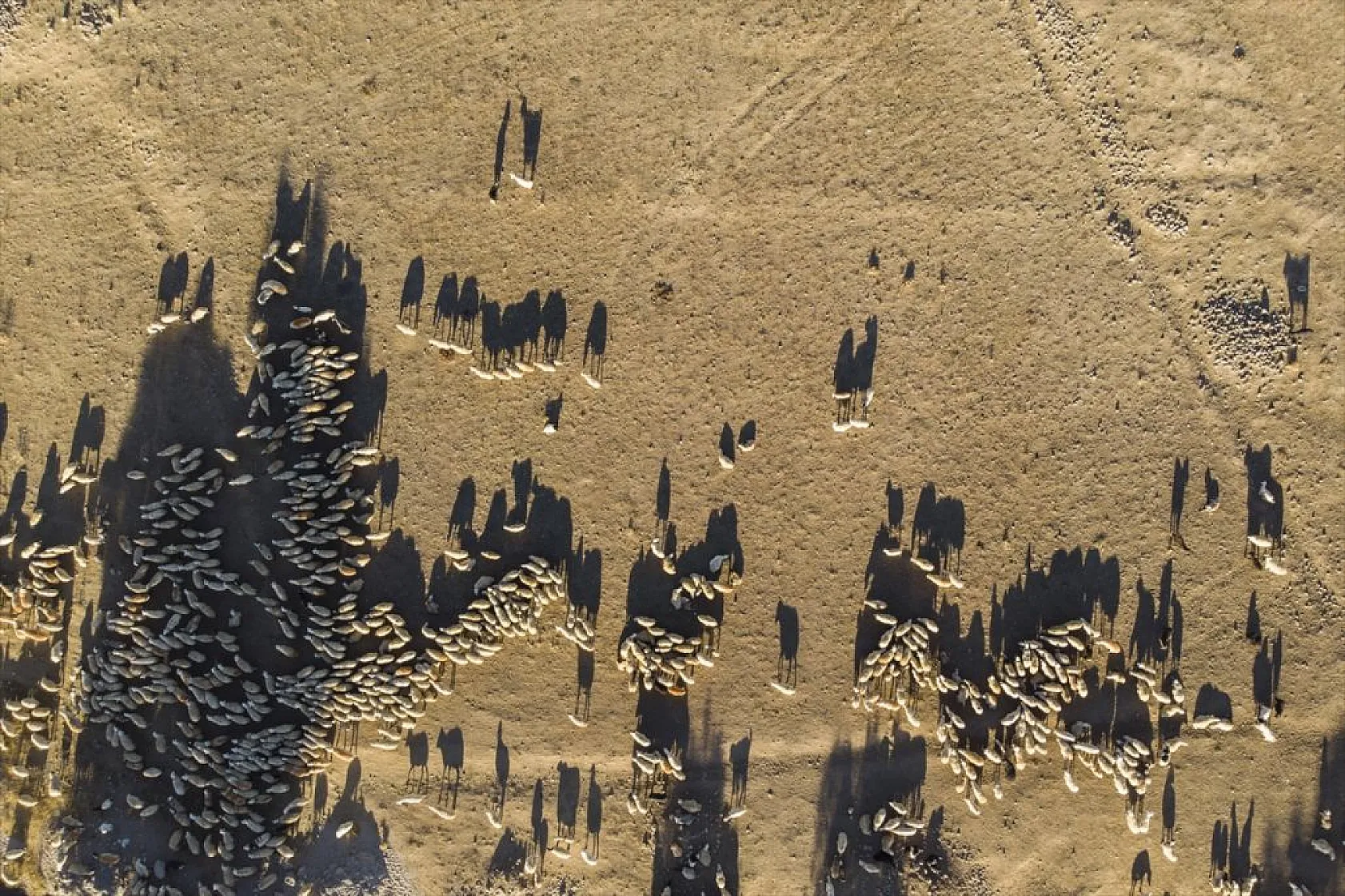 Göçerlerin köylerine zorlu dönüşü başladı