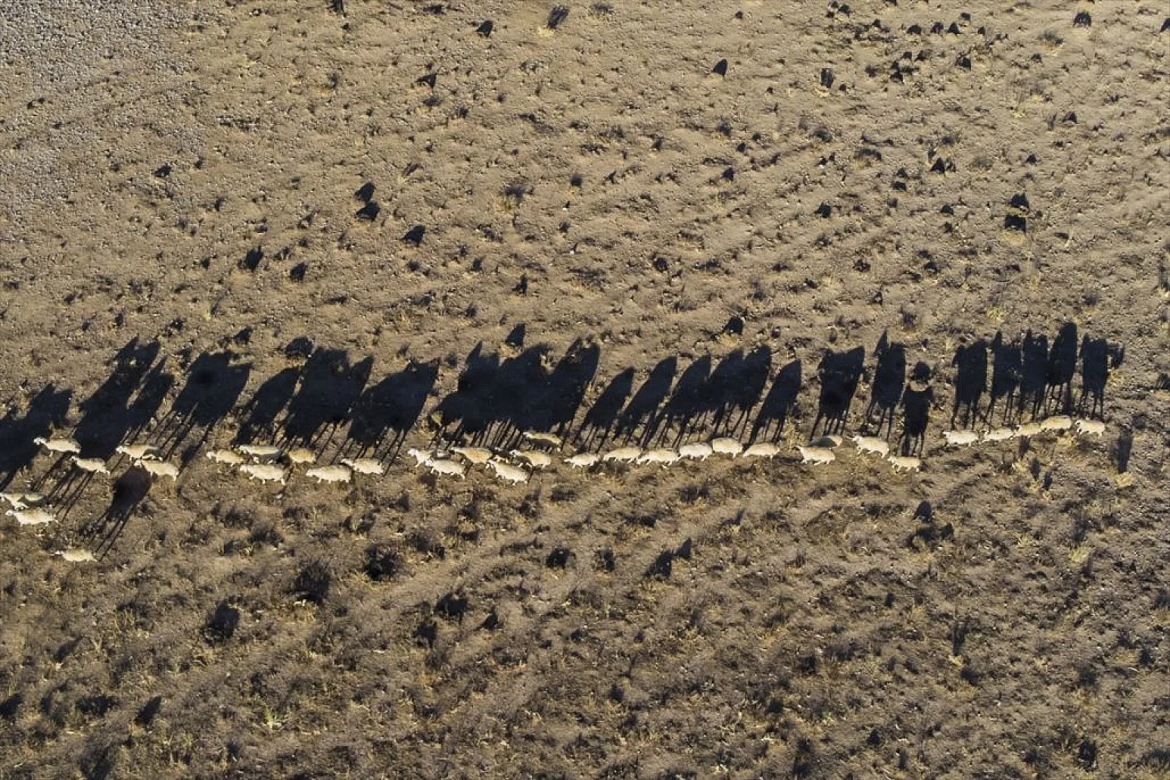 Göçerlerin köylerine zorlu dönüşü başladı