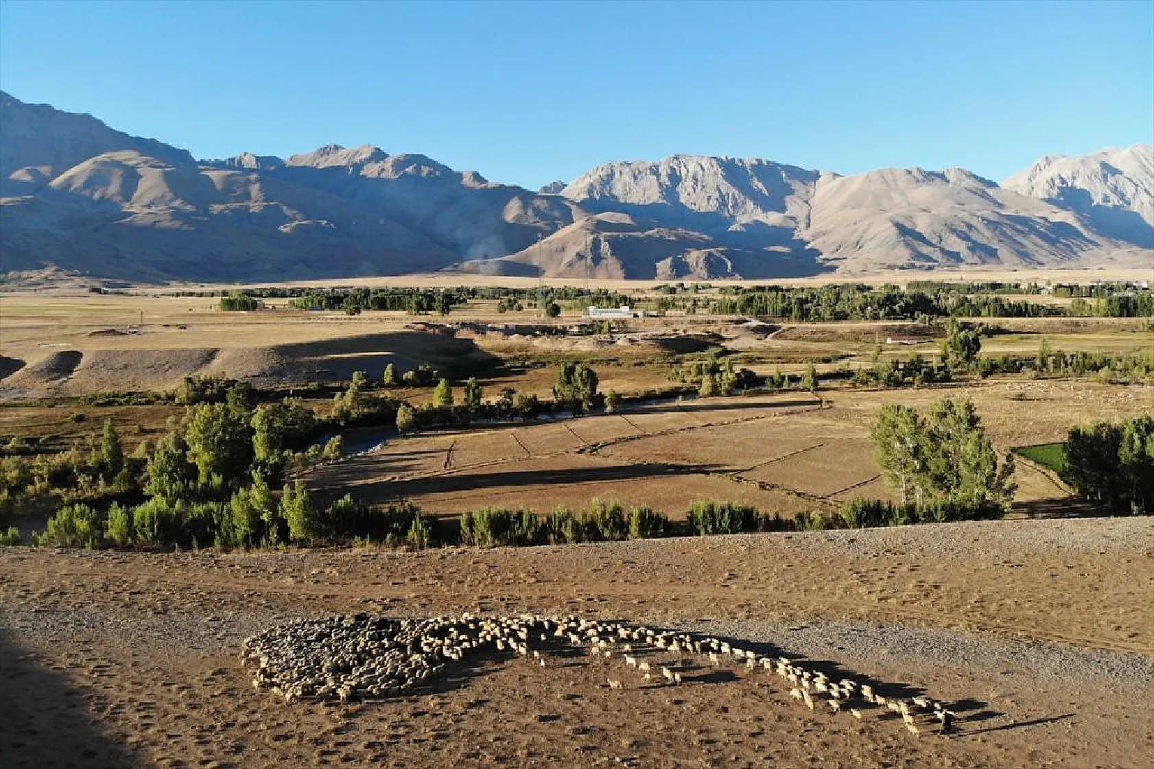 Göçerlerin köylerine zorlu dönüşü başladı