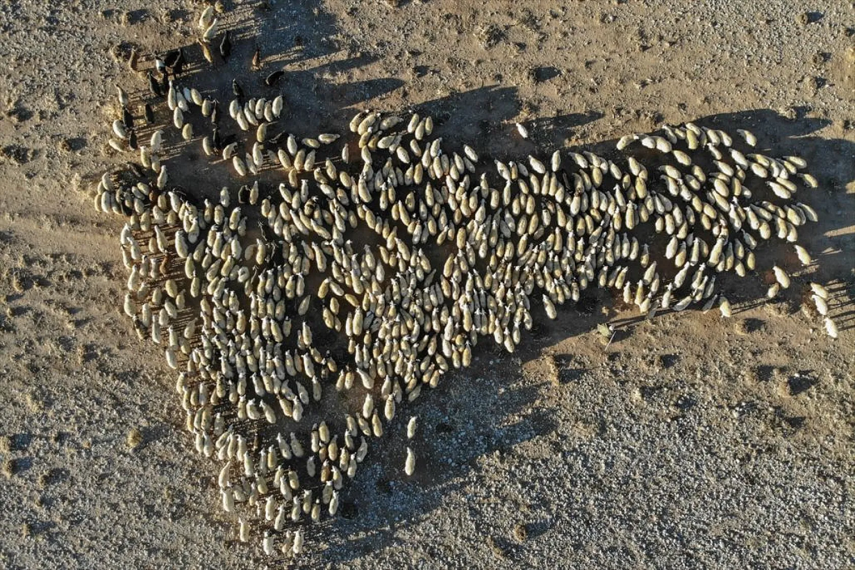 Göçerlerin köylerine zorlu dönüşü başladı