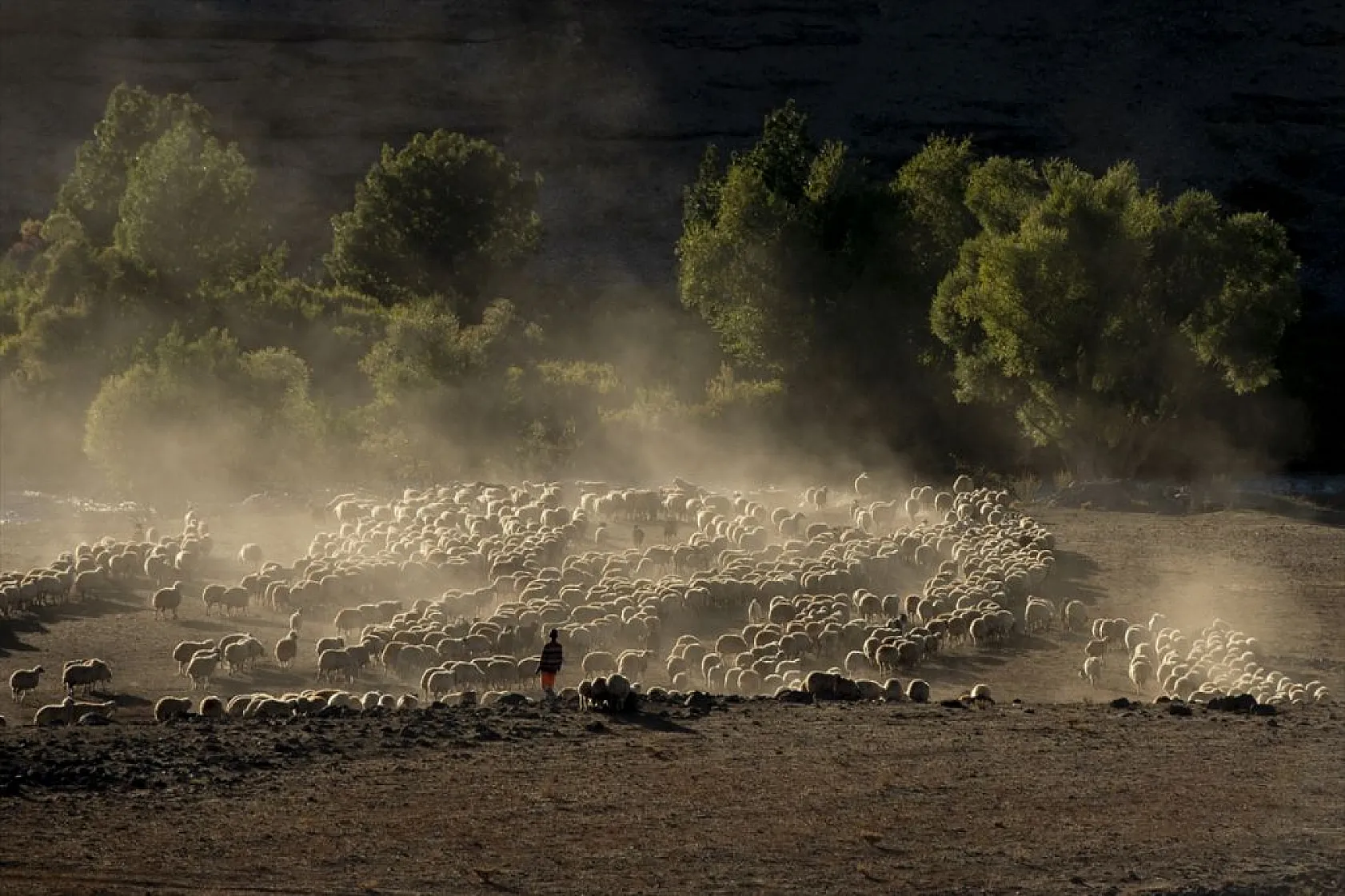 Göçerlerin köylerine zorlu dönüşü başladı