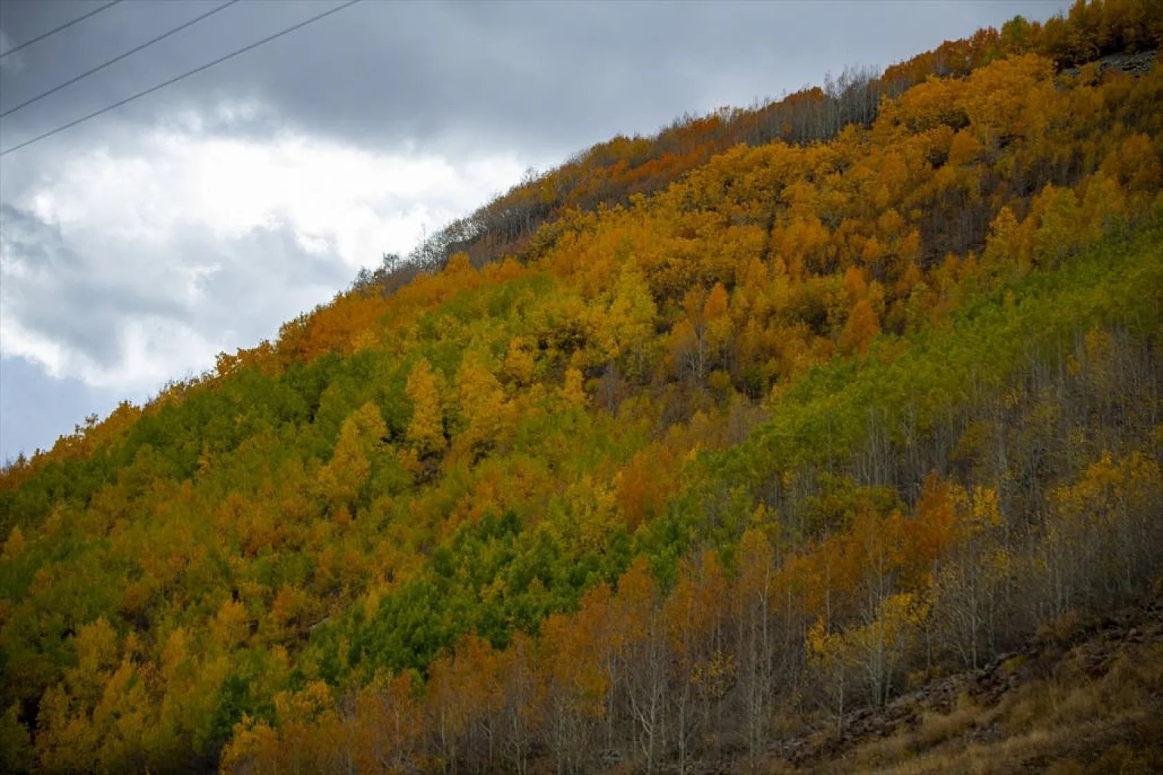 Erzurum'un dağlarında sonbahar renkleri yaşanıyor