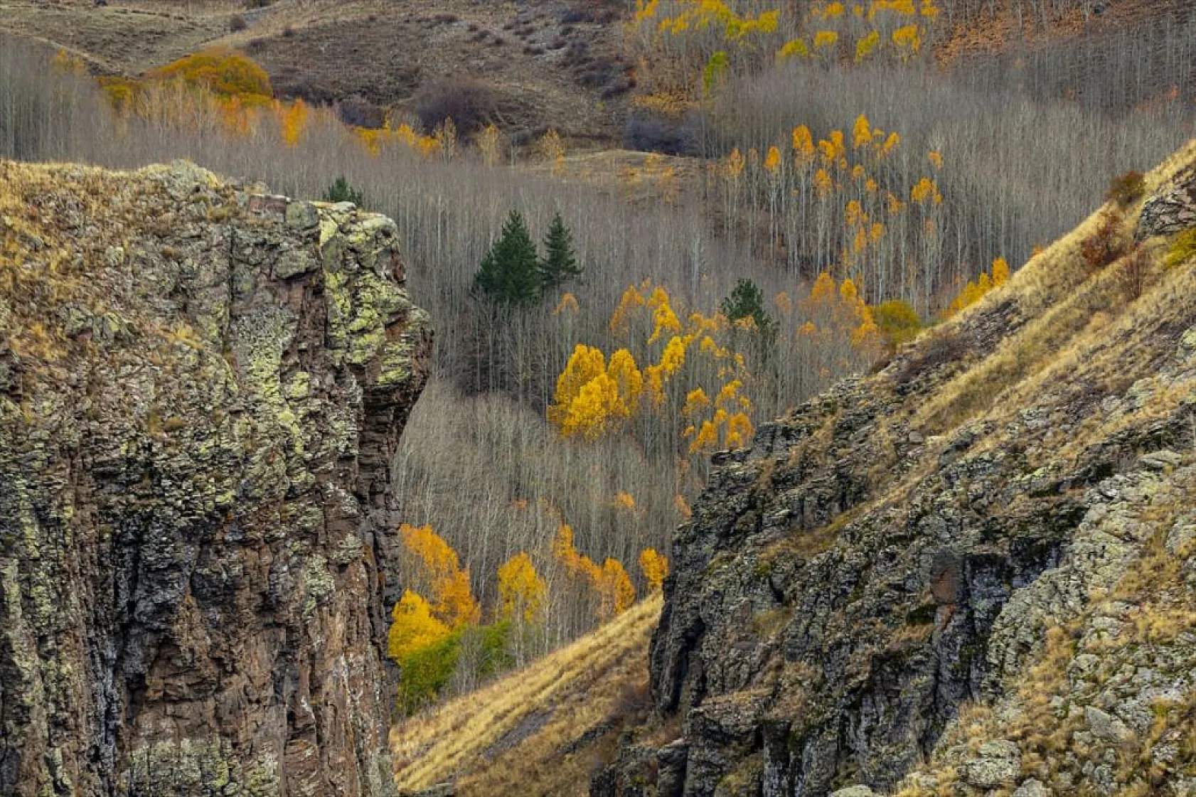 Erzurum'un dağlarında sonbahar renkleri yaşanıyor