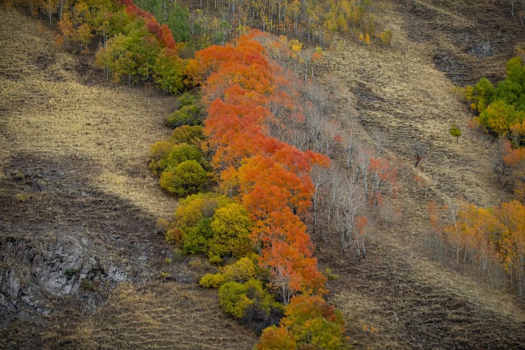 Erzurum'un dağlarında sonbahar renkleri yaşanıyor