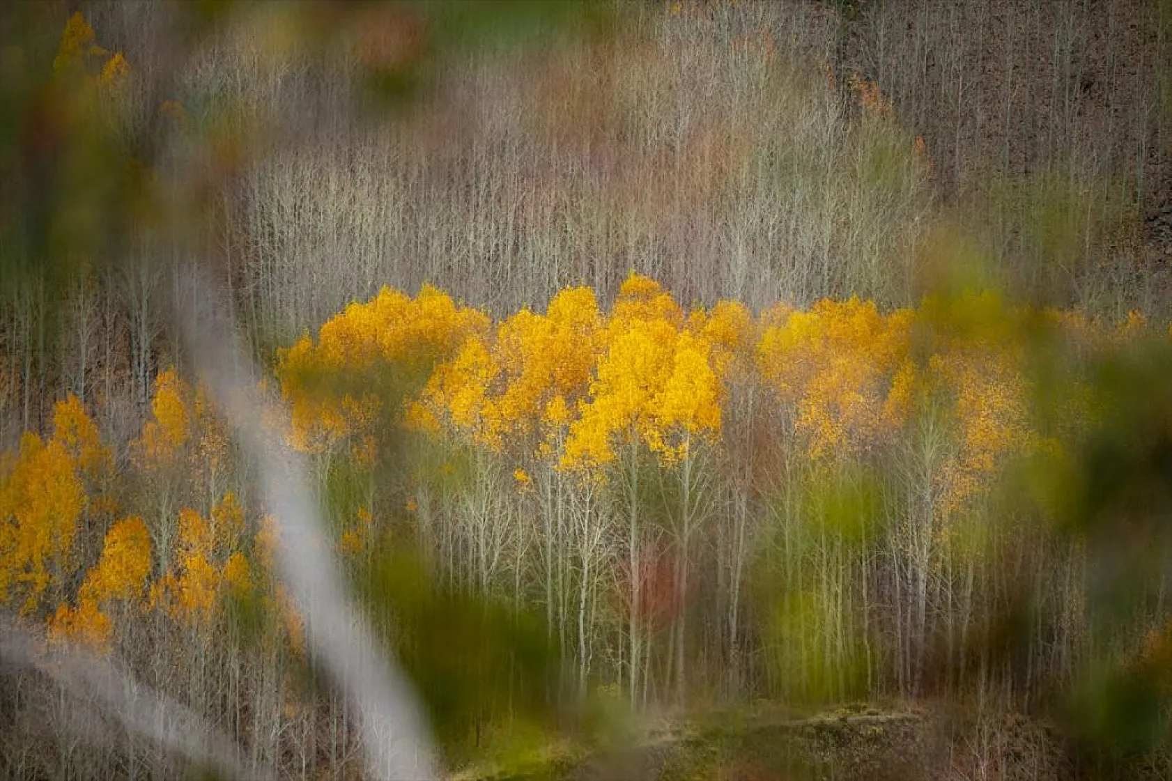 Erzurum'un dağlarında sonbahar renkleri yaşanıyor