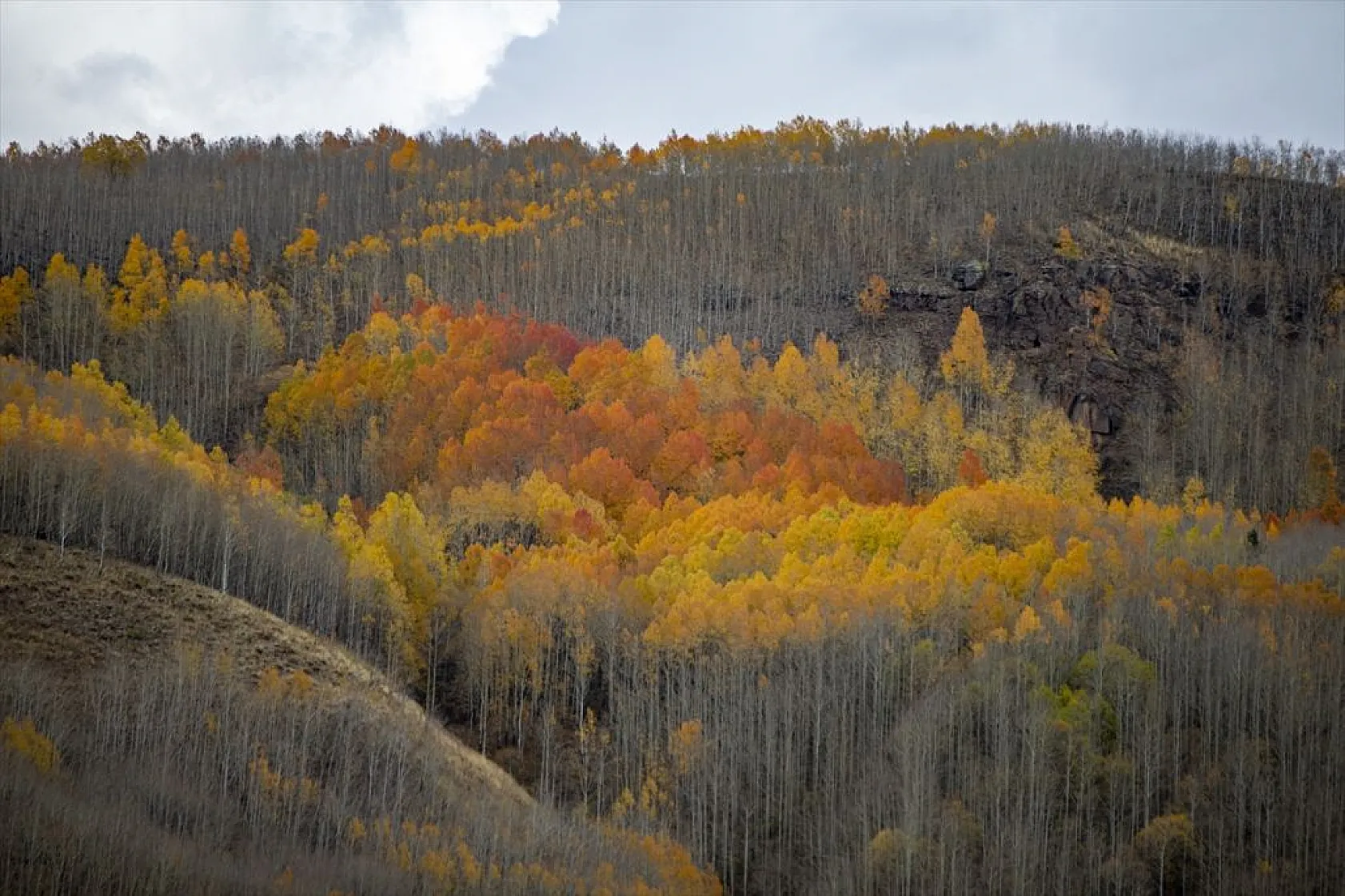 Erzurum'un dağlarında sonbahar renkleri yaşanıyor