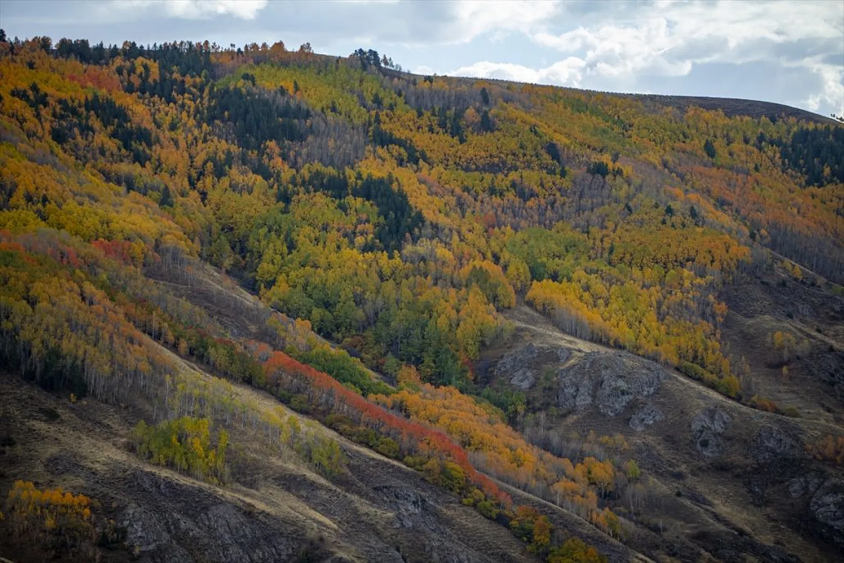 Erzurum'un dağlarında sonbahar renkleri yaşanıyor