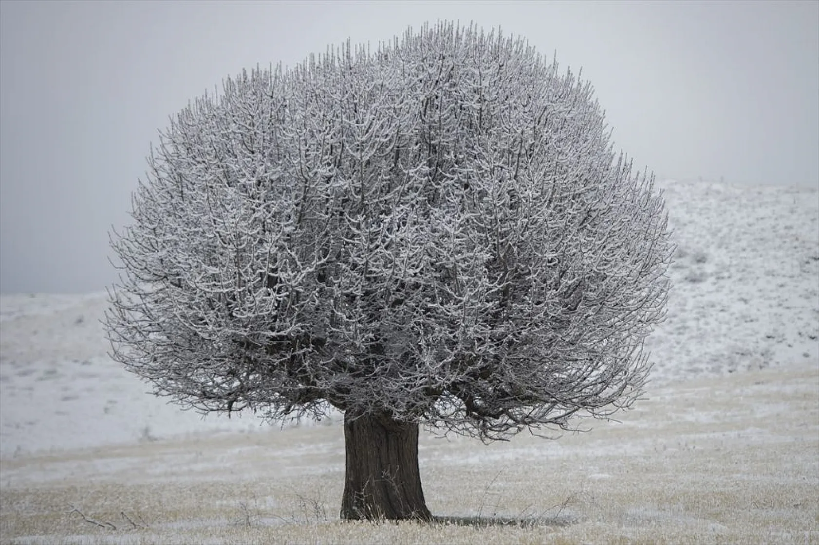 Tunceli'de kar yağışı ve sisli hava