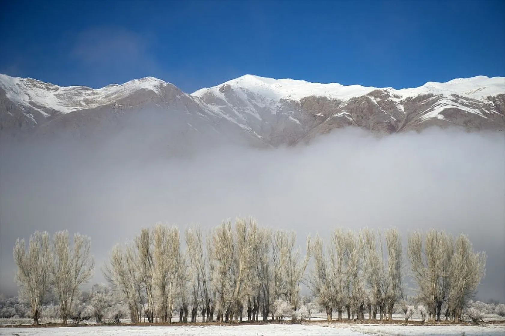 Ovacık'da soğuk hava nedeniyle ağaçlar kırağı tuttu