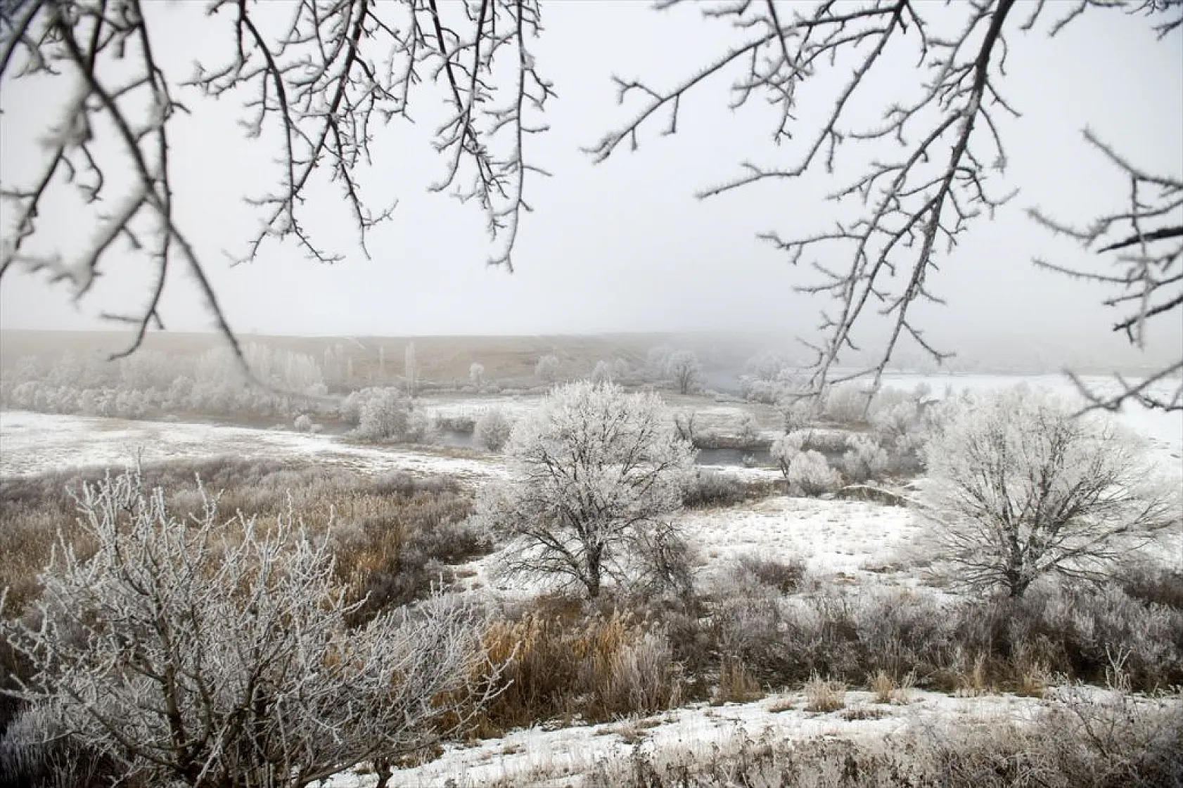 Ovacık'da soğuk hava nedeniyle ağaçlar kırağı tuttu