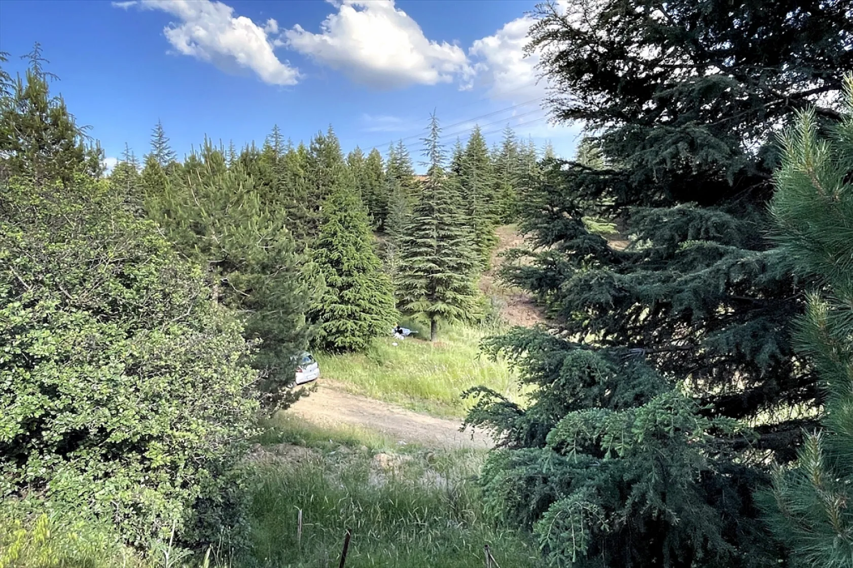 Elazığ'da ağaçlandırma çalışmaları sürüyor