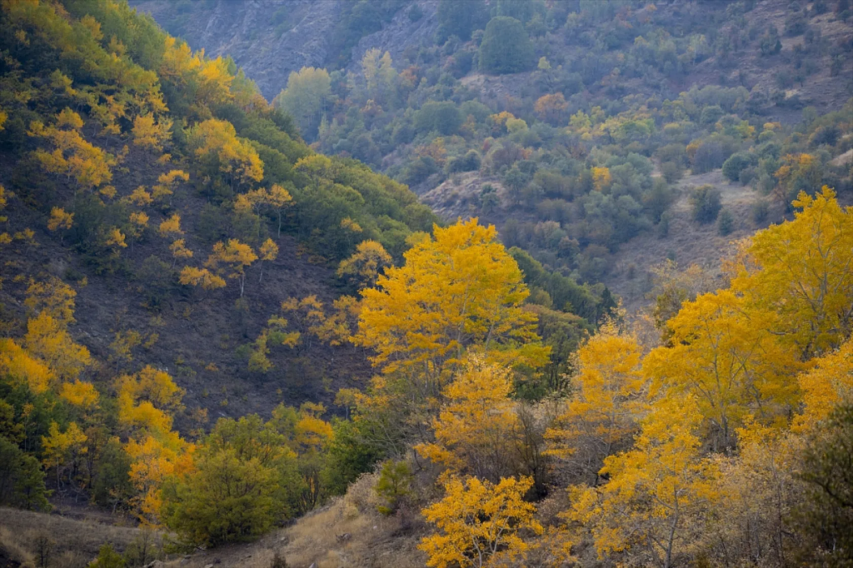 Pülümür Vadisi'nde sonbahar