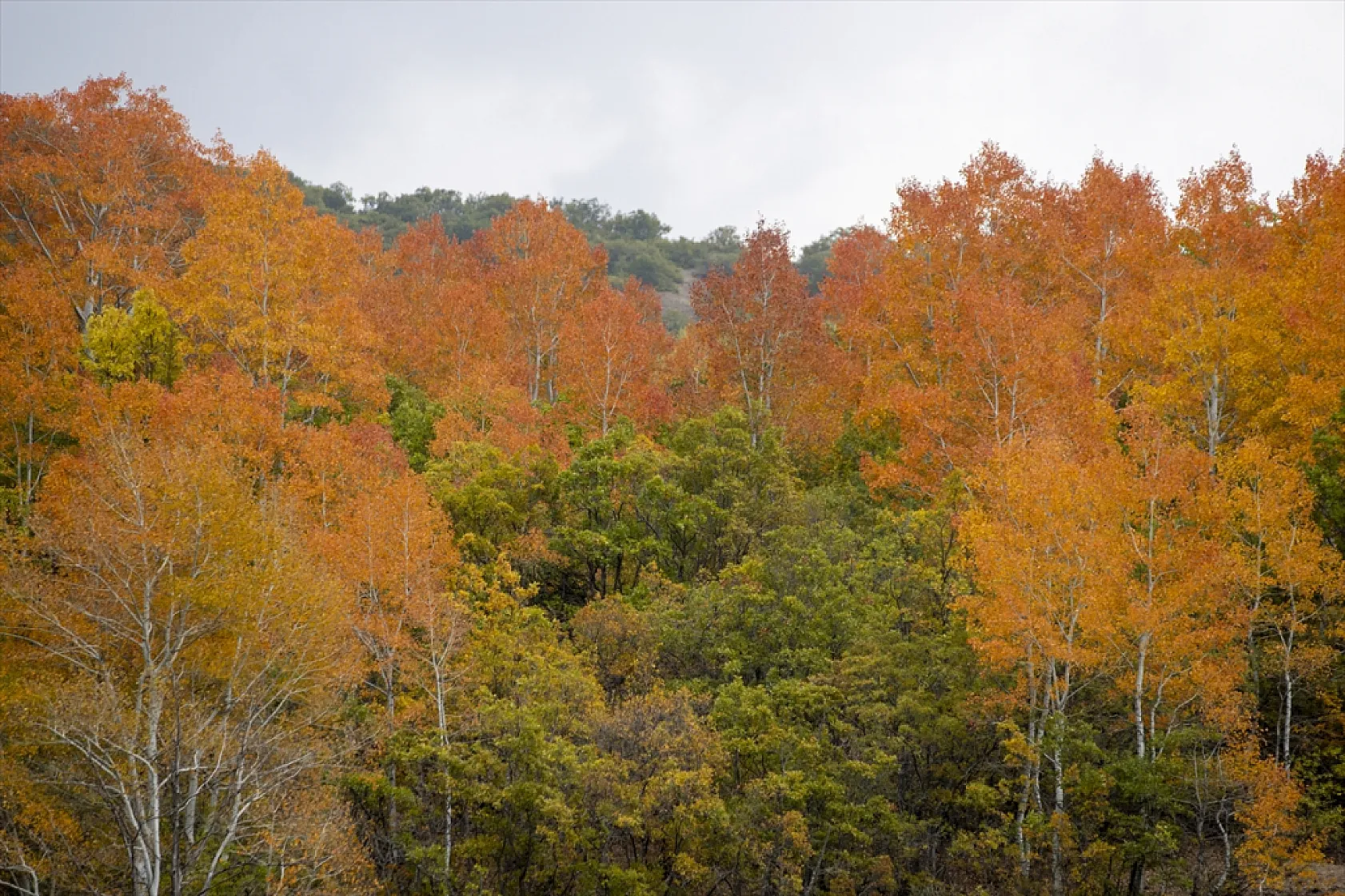 Pülümür Vadisi'nde sonbahar