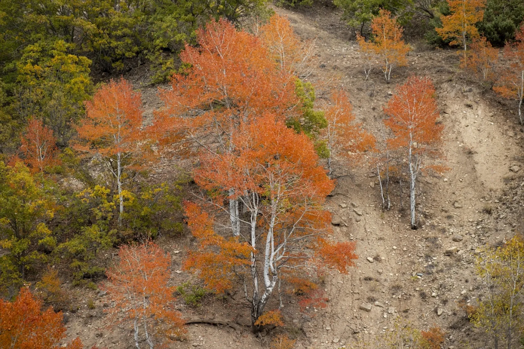 Pülümür Vadisi'nde sonbahar
