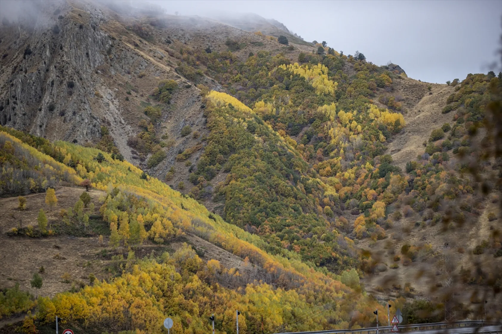 Kop Dağı'nda sonbahar