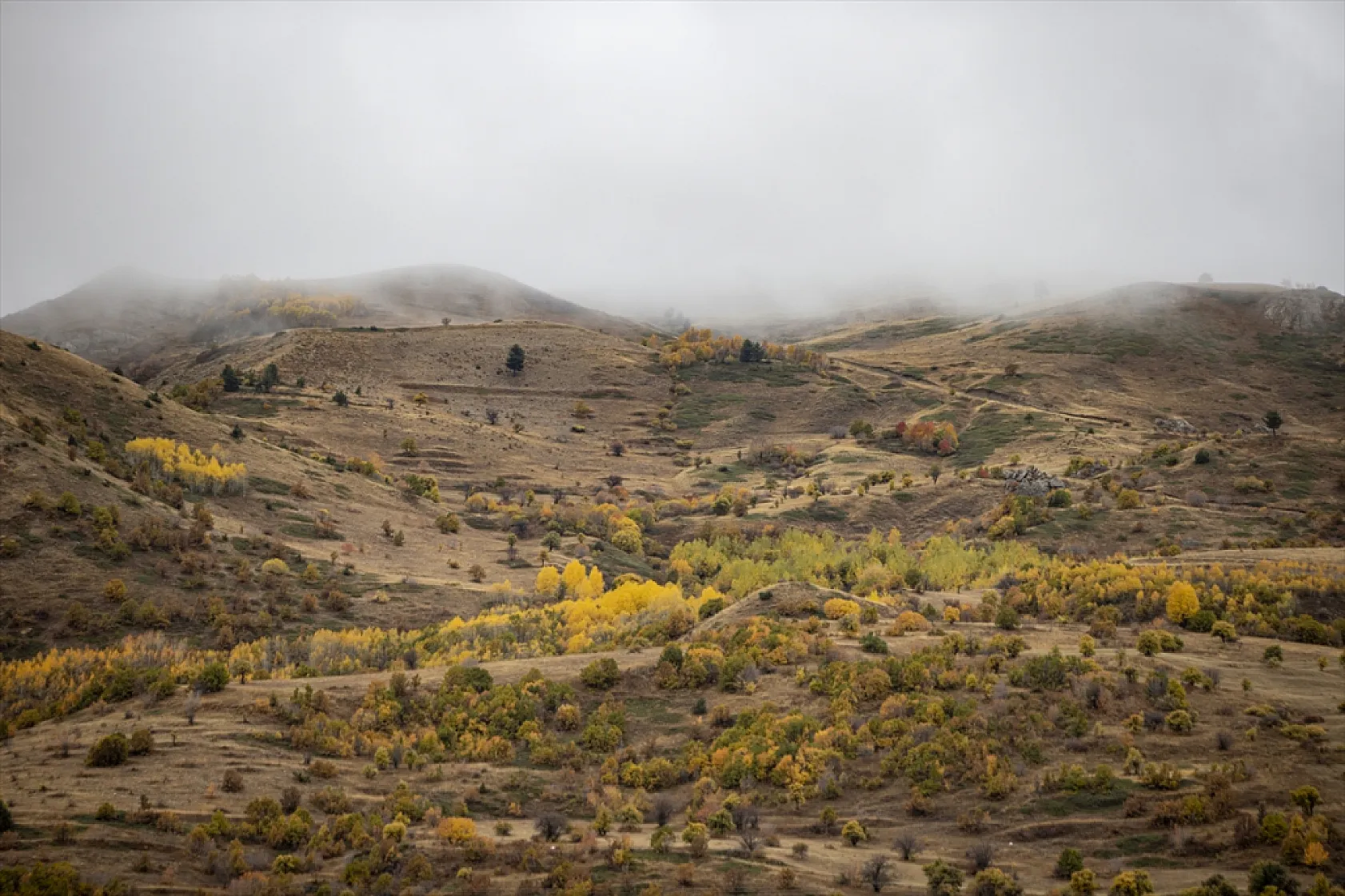 Kop Dağı'nda sonbahar