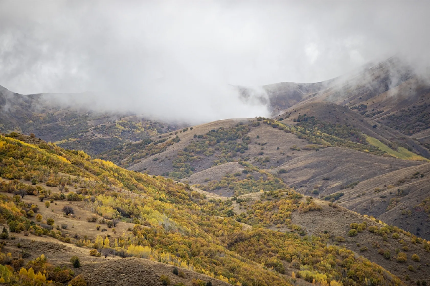 Kop Dağı'nda sonbahar