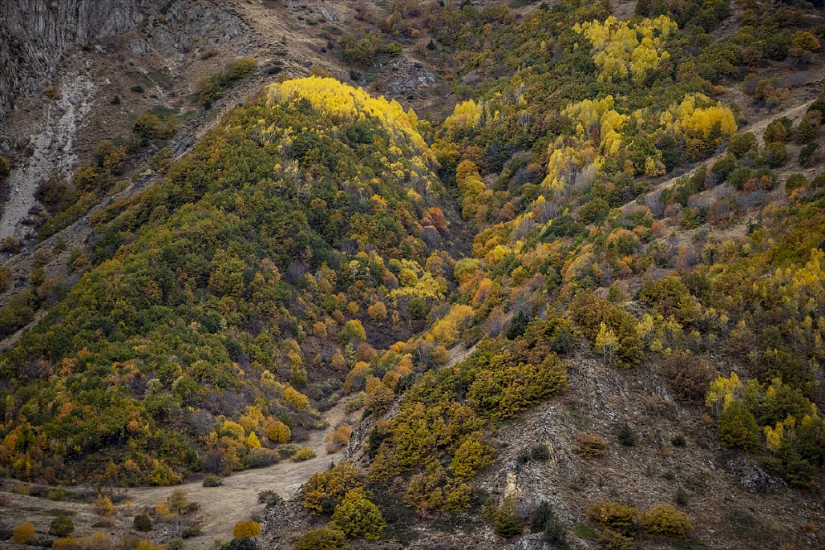 Kop Dağı'nda sonbahar