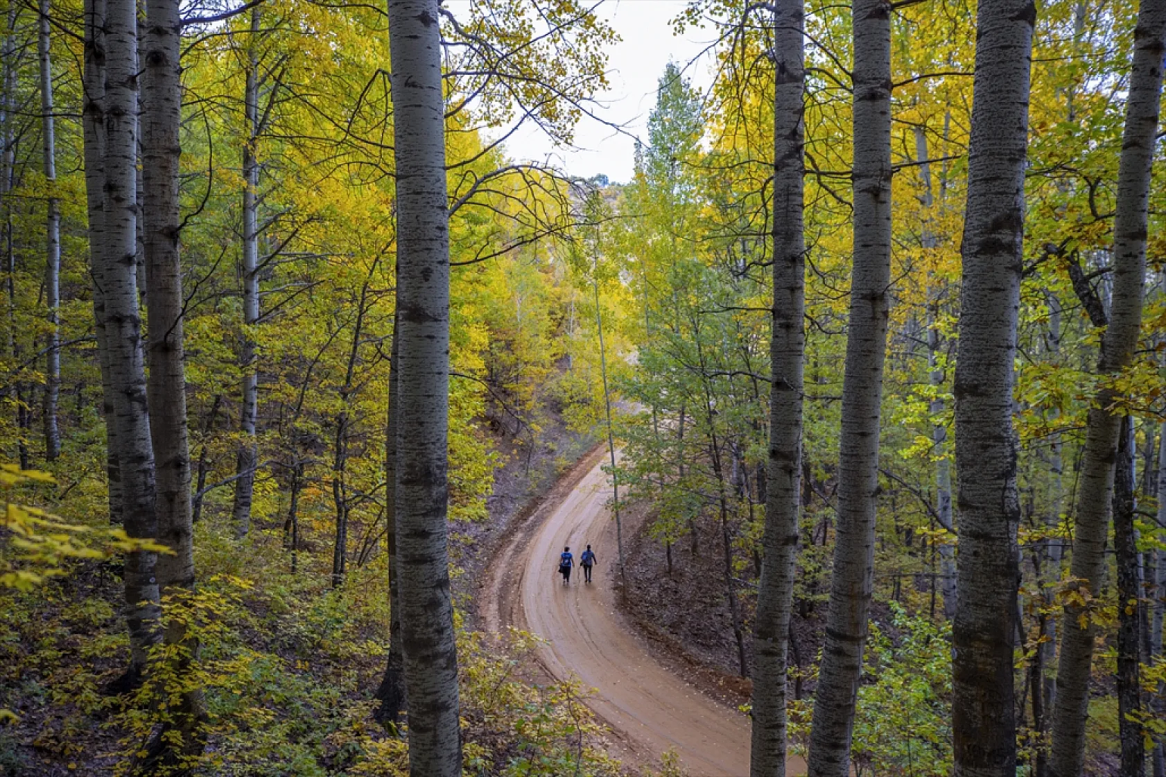 Tunceli'nin ormanlarında sonbahar renkleri hakim oldu