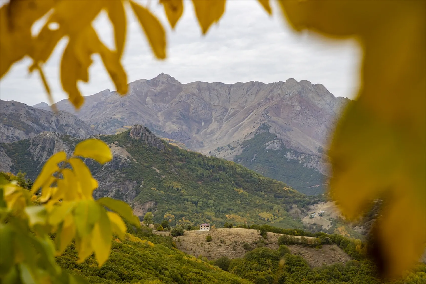 Tunceli'nin ormanlarında sonbahar renkleri hakim oldu