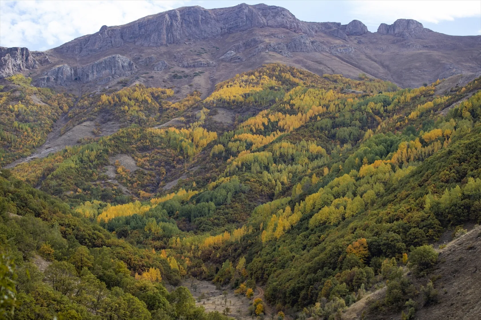 Tunceli'nin ormanlarında sonbahar renkleri hakim oldu