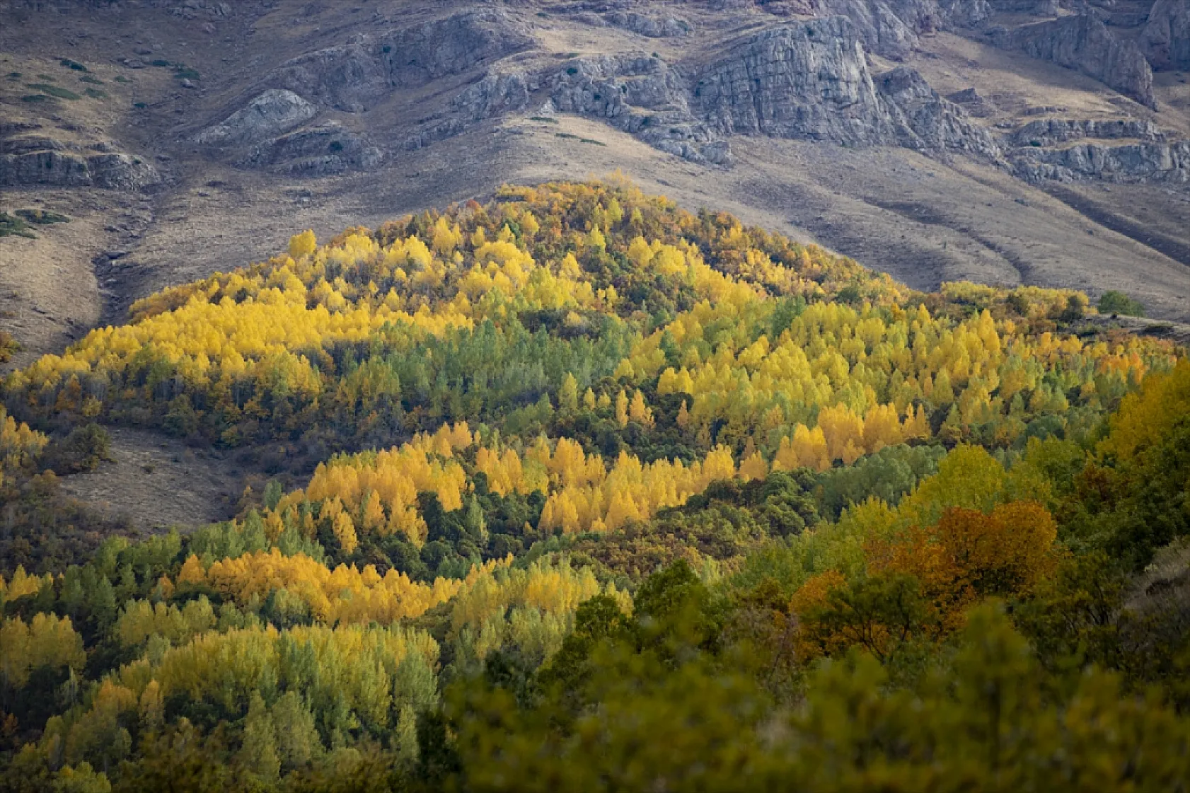 Tunceli'nin ormanlarında sonbahar renkleri hakim oldu