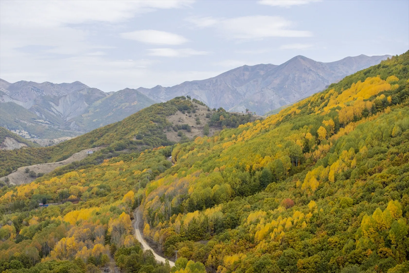 Tunceli'nin ormanlarında sonbahar renkleri hakim oldu