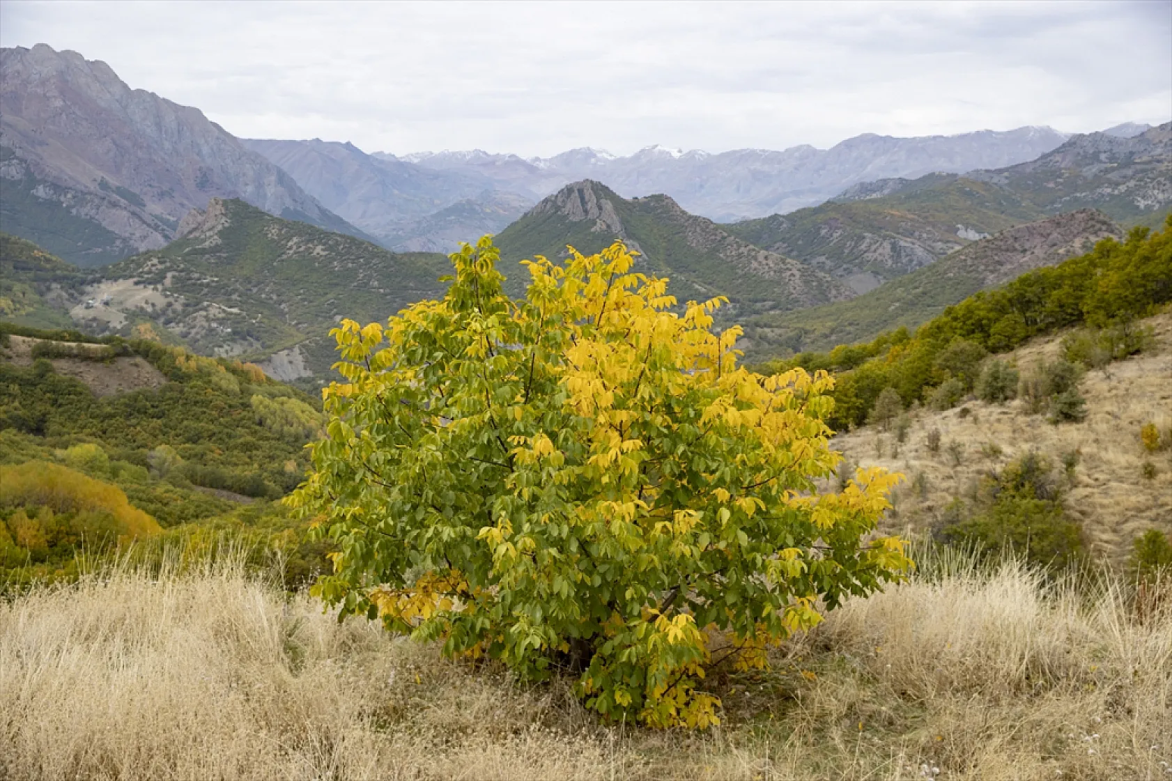 Tunceli'nin ormanlarında sonbahar renkleri hakim oldu