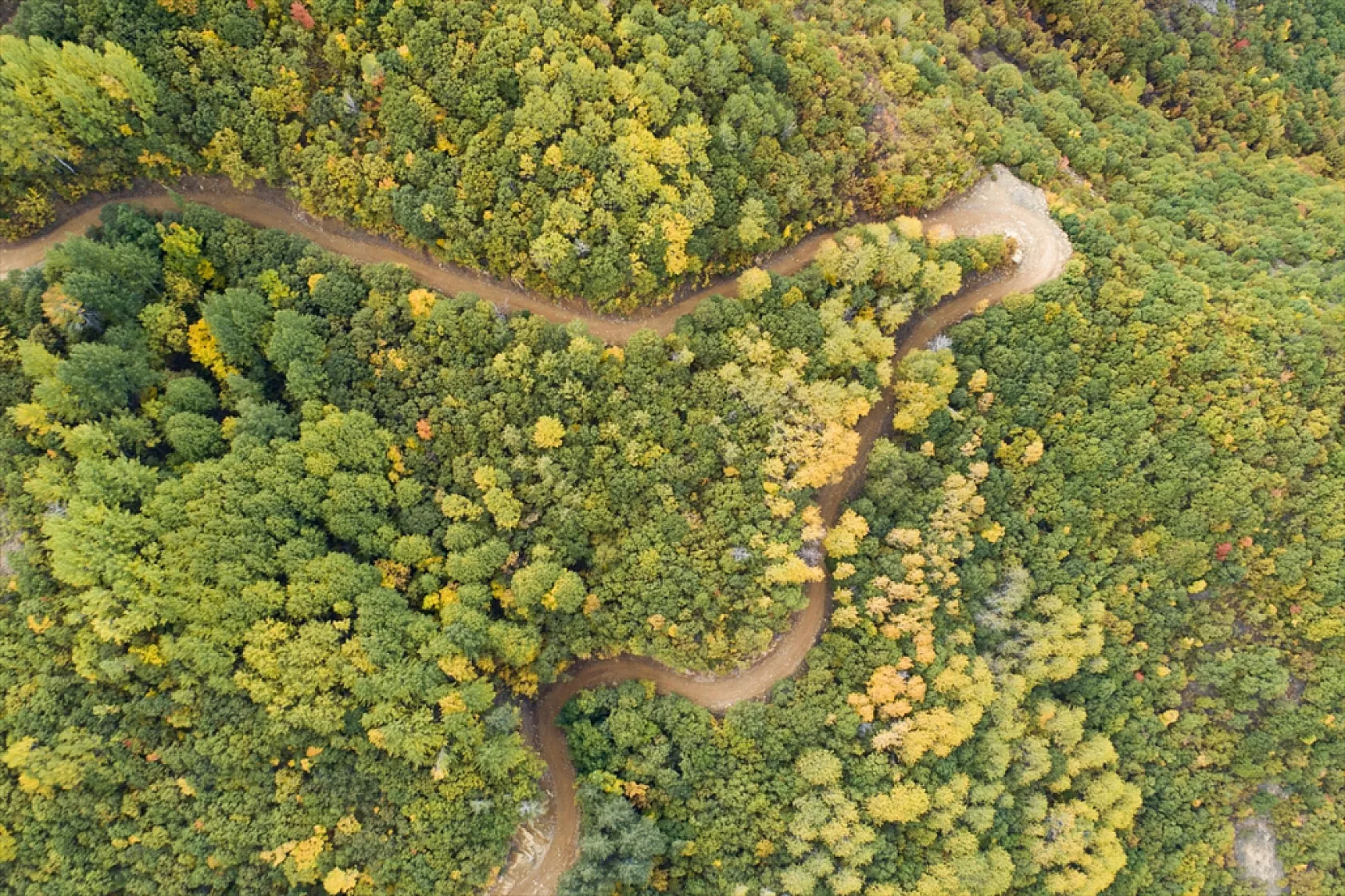 Tunceli'nin ormanlarında sonbahar renkleri hakim oldu