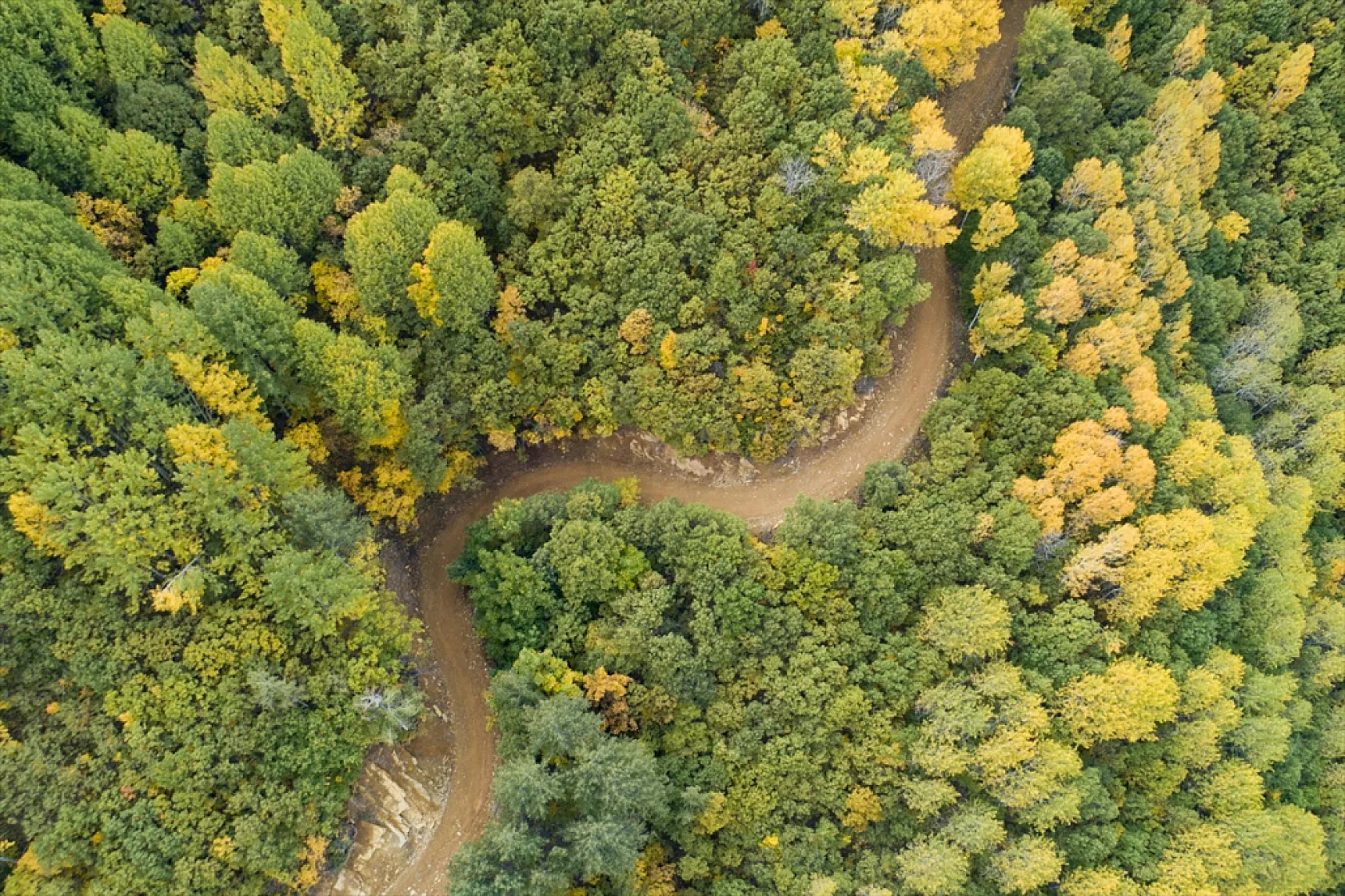 Tunceli'nin ormanlarında sonbahar renkleri hakim oldu