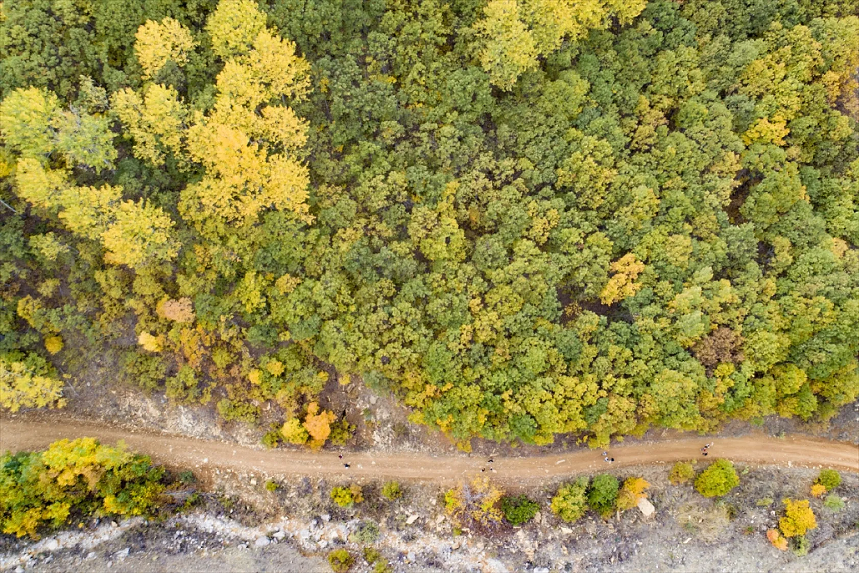 Tunceli'nin ormanlarında sonbahar renkleri hakim oldu