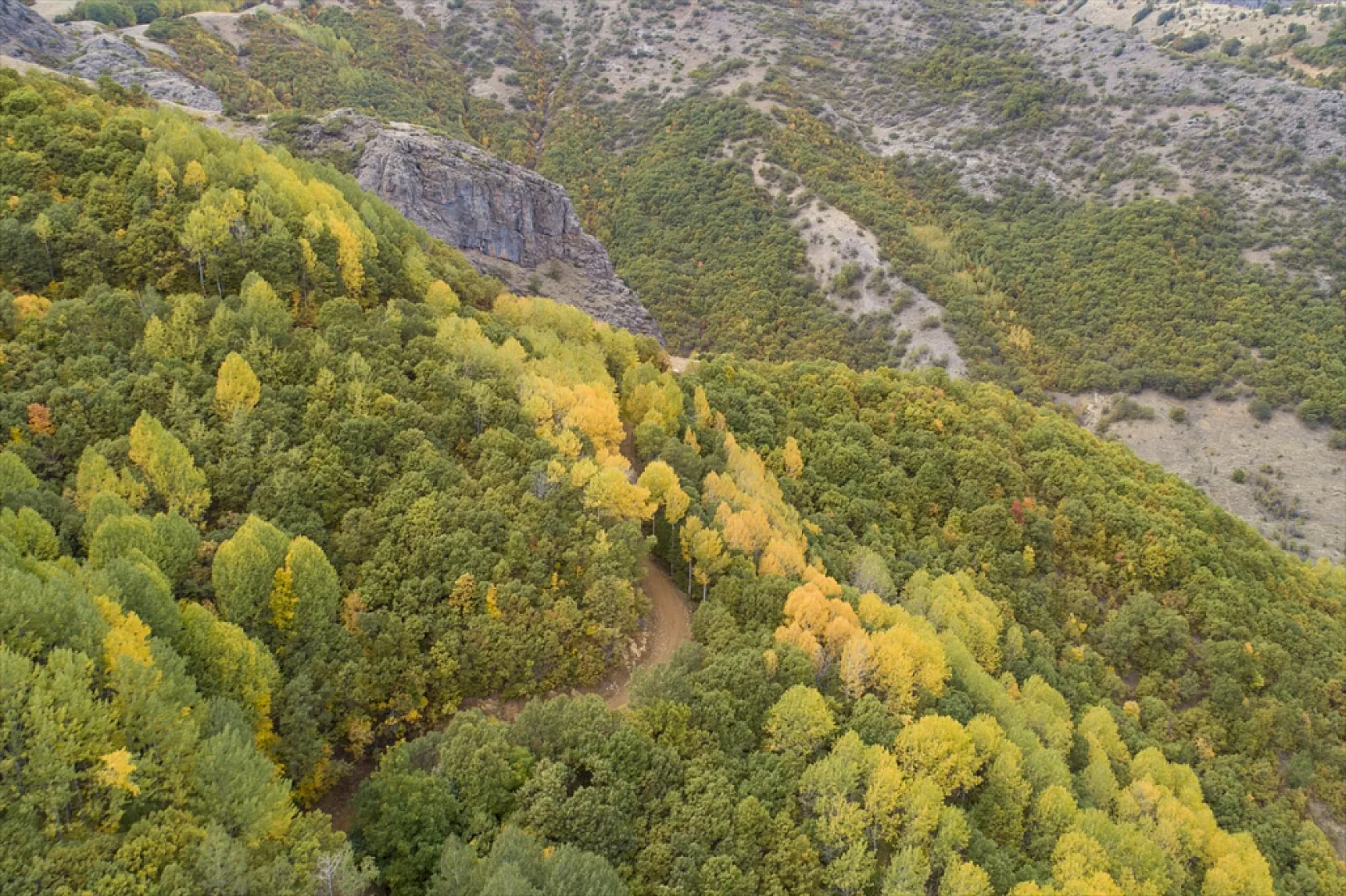 Tunceli'nin ormanlarında sonbahar renkleri hakim oldu