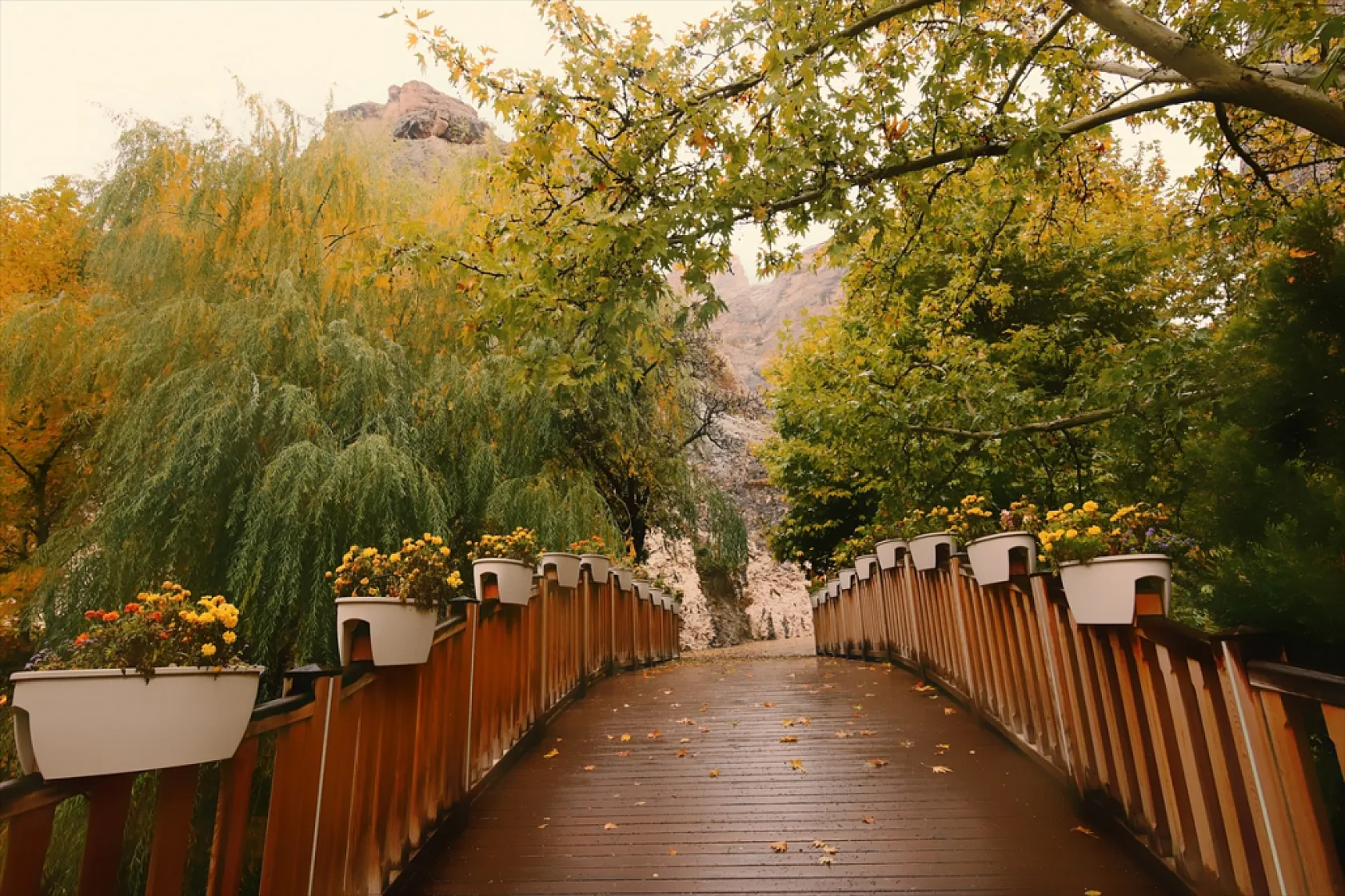 Tohma Kanyonu sonbahar renklerine büründü