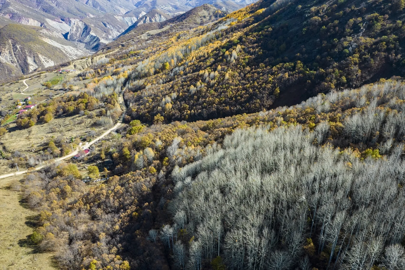 Salördek ormanları güz renklerine büründü