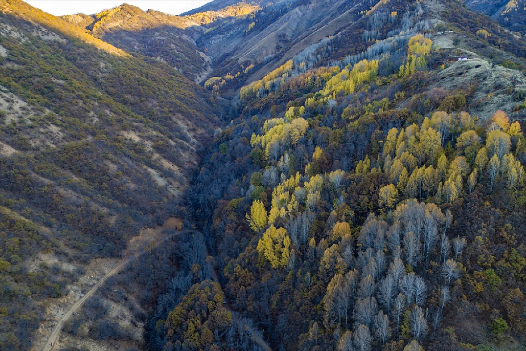 Salördek ormanları güz renklerine büründü