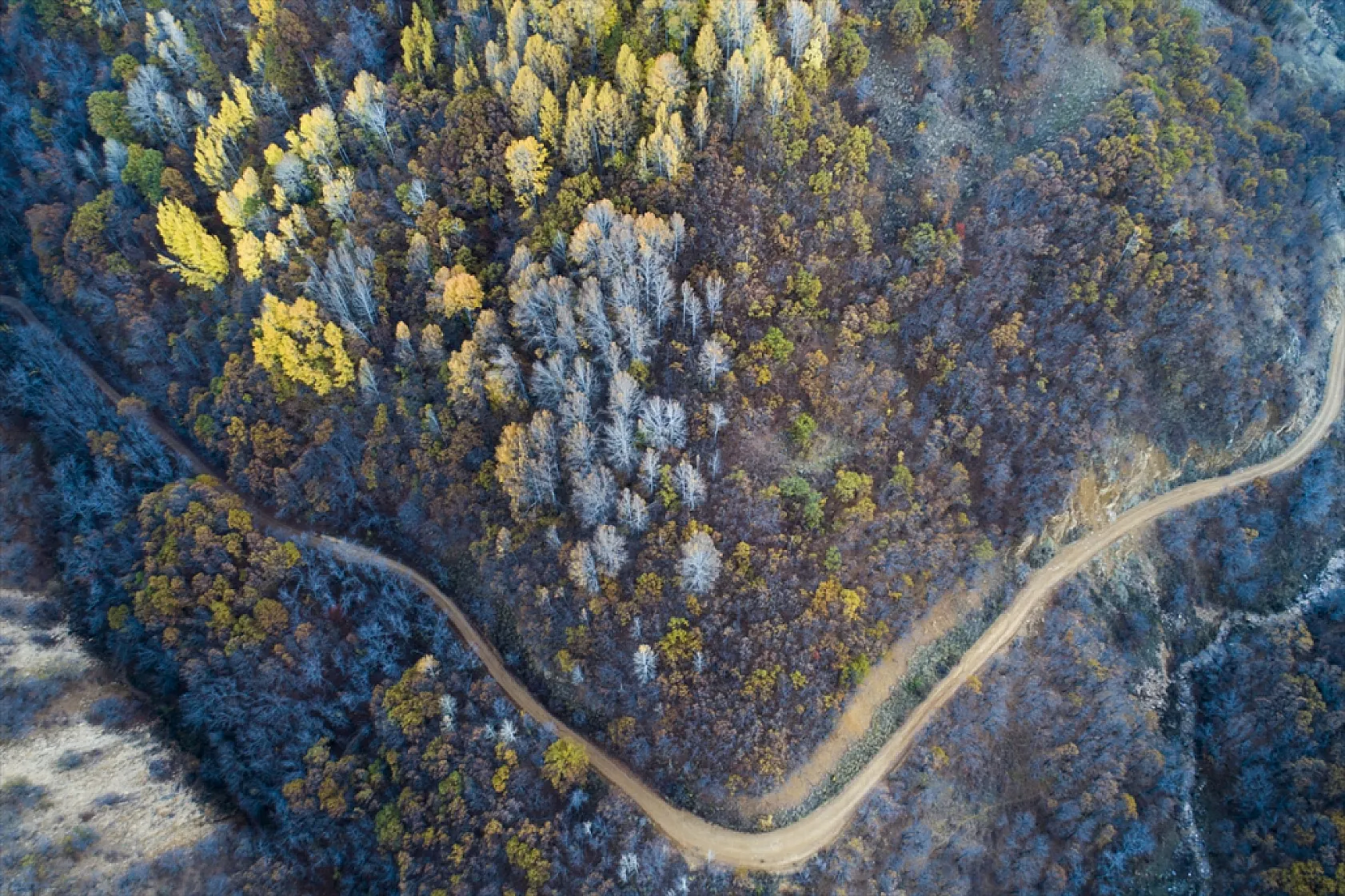 Salördek ormanları güz renklerine büründü