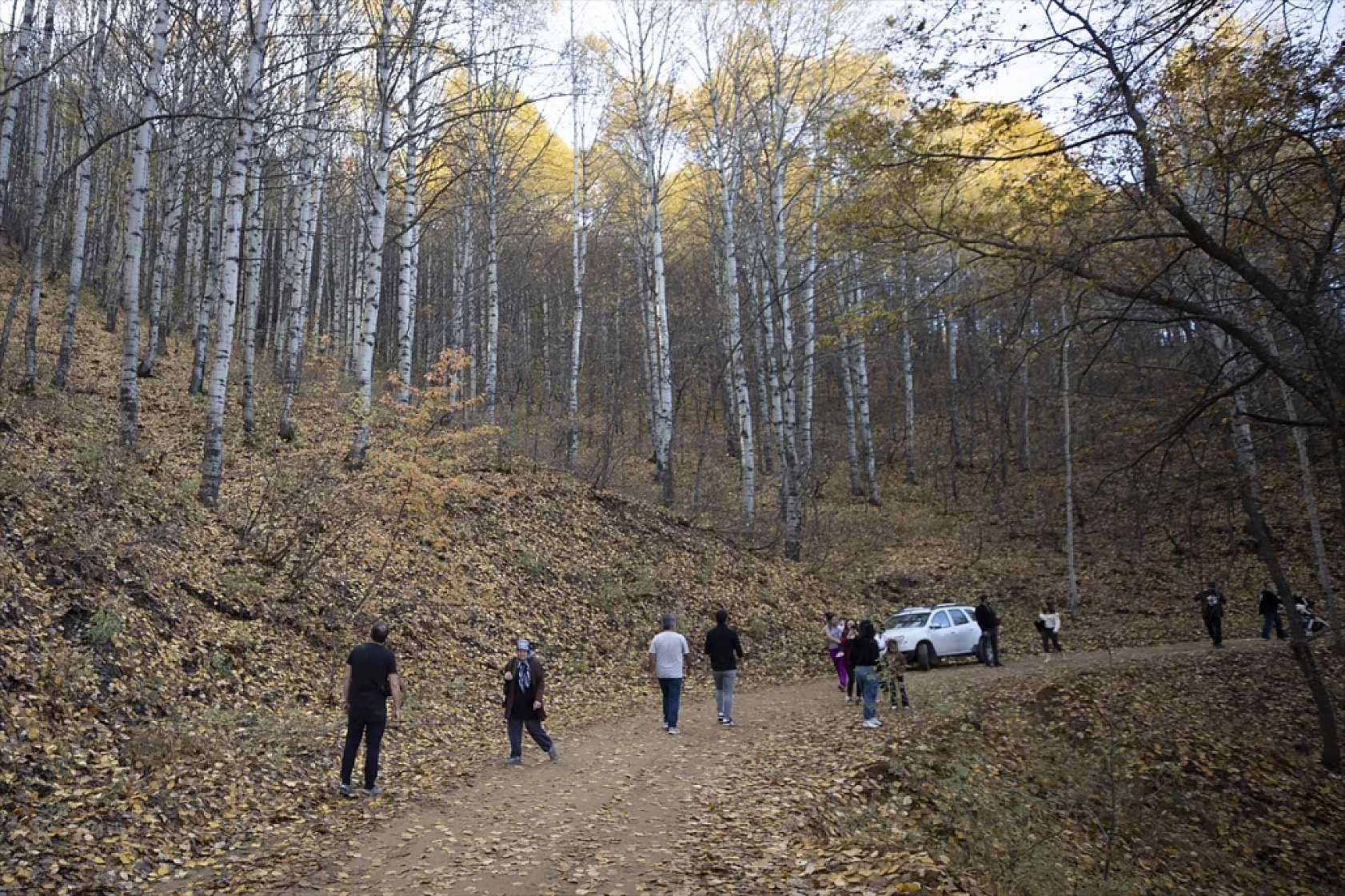 Salördek ormanları güz renklerine büründü