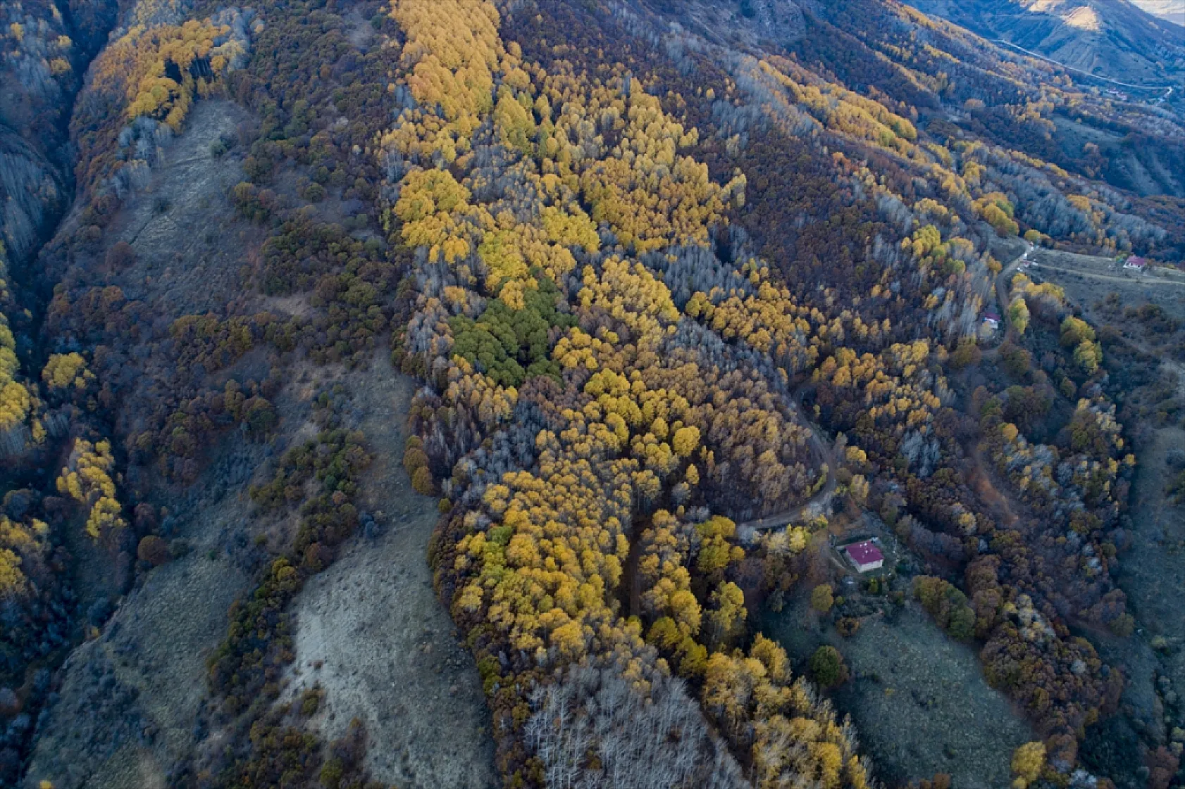 Salördek ormanları güz renklerine büründü