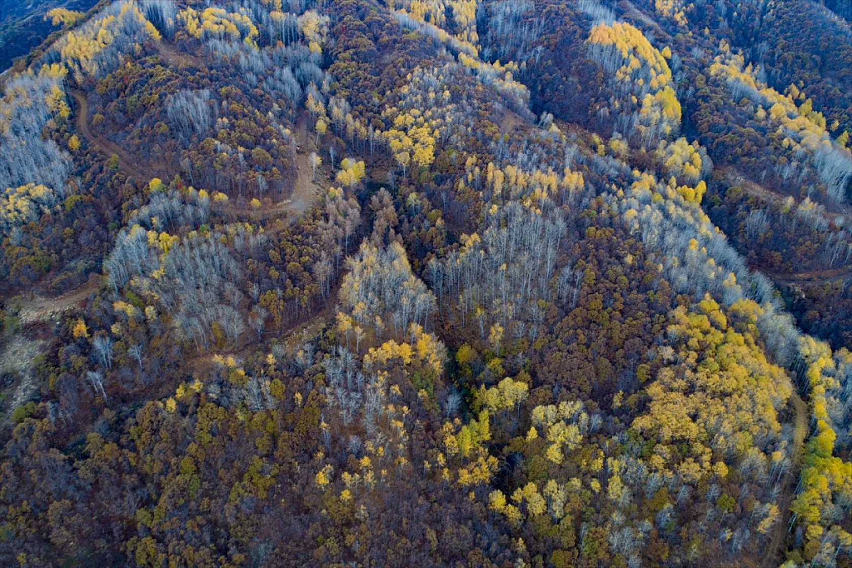 Salördek ormanları güz renklerine büründü
