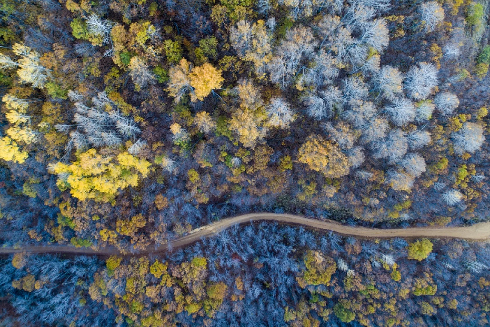 Salördek ormanları güz renklerine büründü